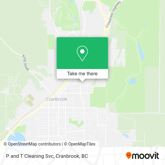 P and T Cleaning Svc map