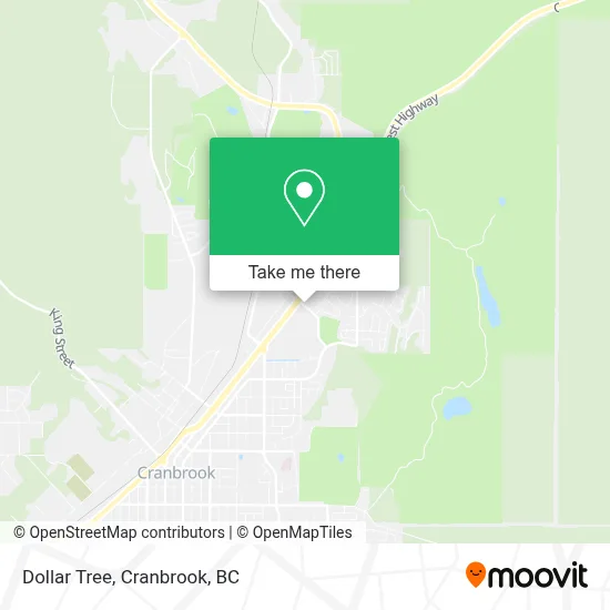 Dollar Tree map
