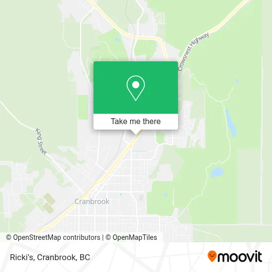 Ricki's map