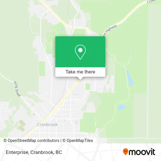 Enterprise map