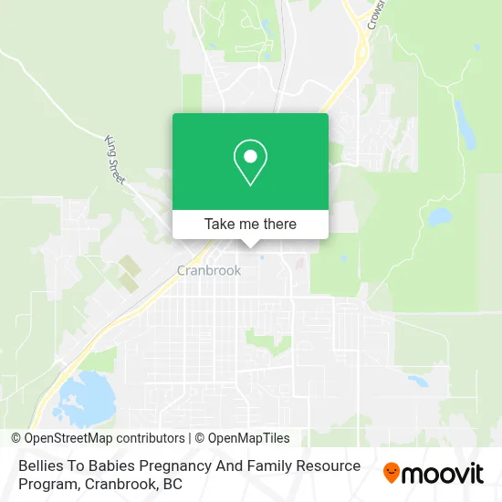 Bellies To Babies Pregnancy And Family Resource Program map