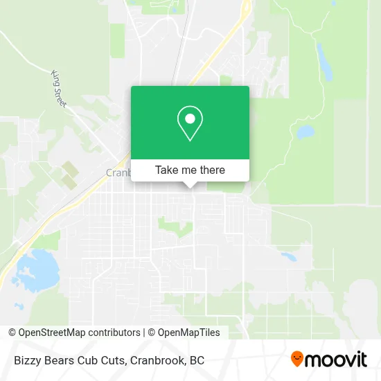 Bizzy Bears Cub Cuts map
