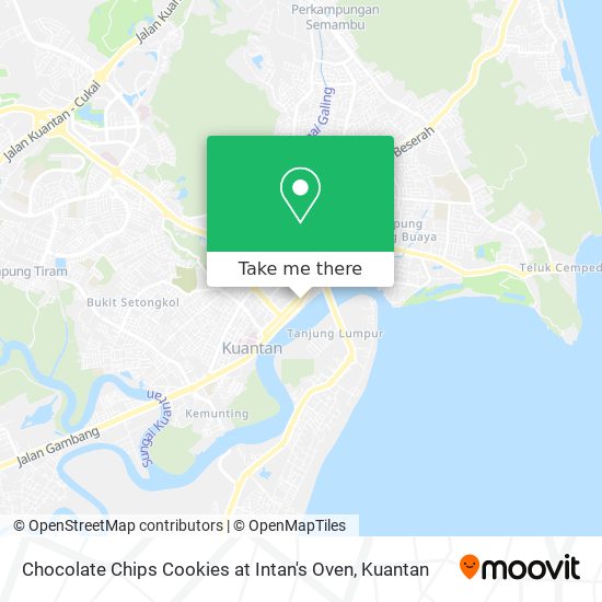 Peta Chocolate Chips Cookies at Intan's Oven
