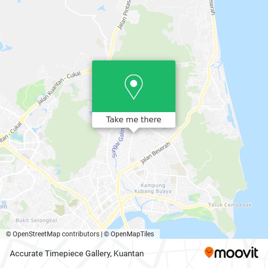 Peta Accurate Timepiece Gallery