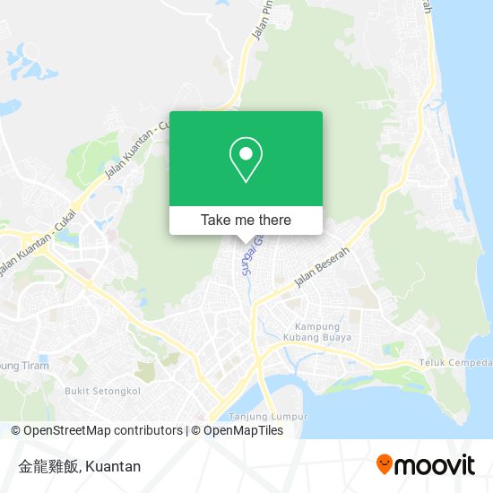 金龍雞飯 map