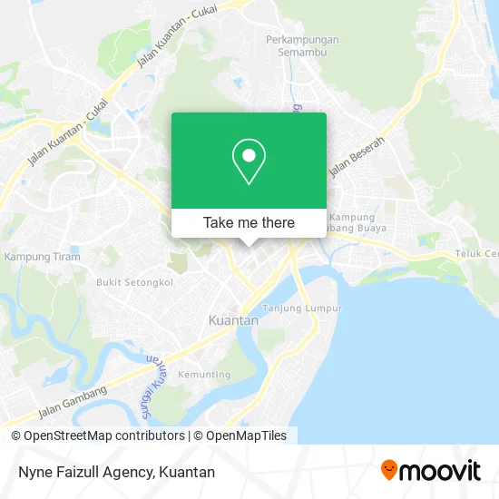 Nyne Faizull Agency map