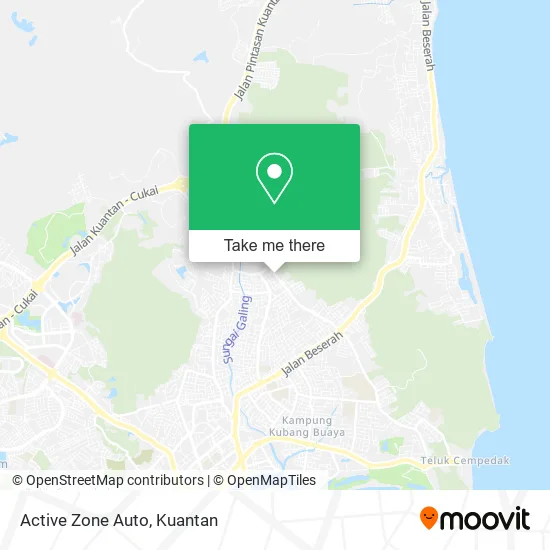 Active Zone Auto map