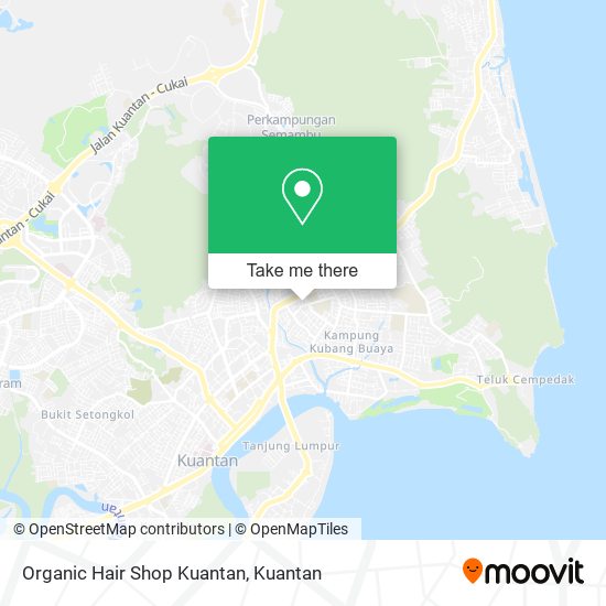 Organic Hair Shop Kuantan map