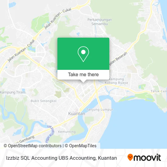 Izzbiz SQL Accounting UBS Accounting map