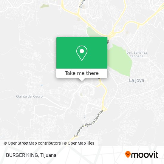 BURGER KING map