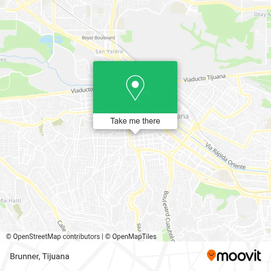Brunner map