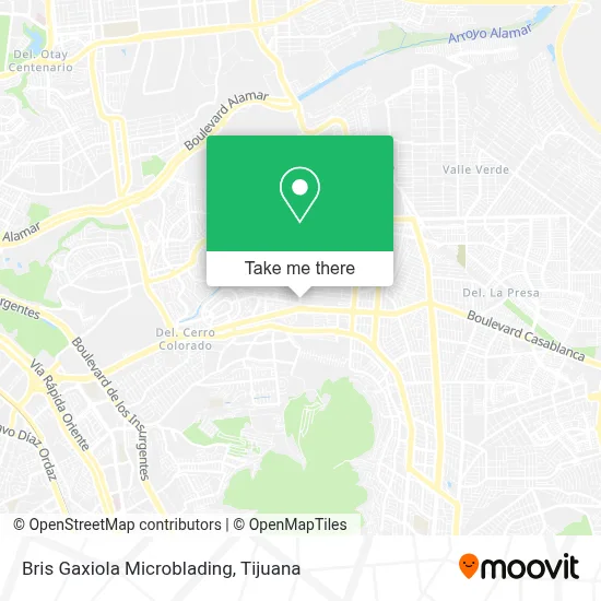 Bris Gaxiola Microblading map