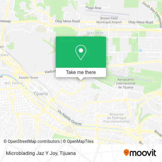 Microblading Jaz Y Joy map