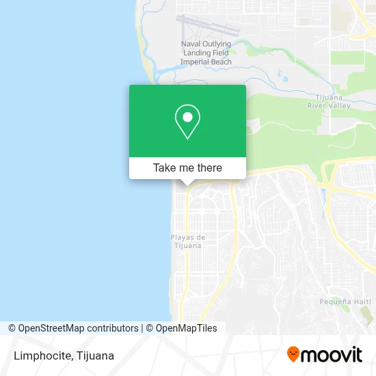 Limphocite map