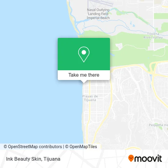 Ink Beauty Skin map