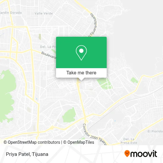 Priya Patel map