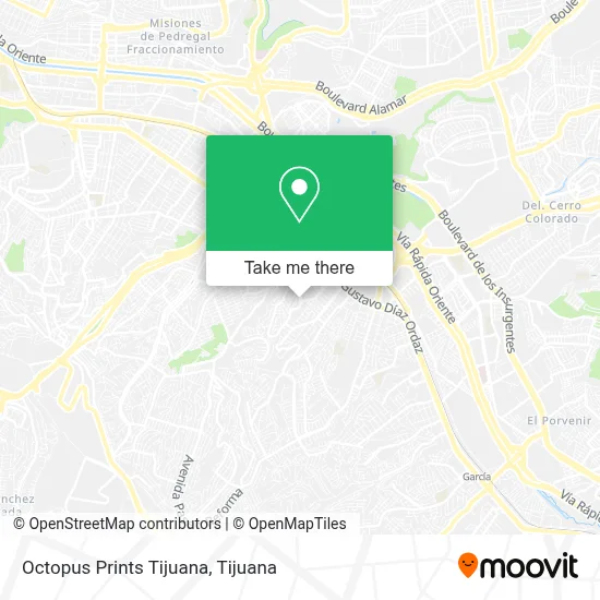 Octopus Prints Tijuana map