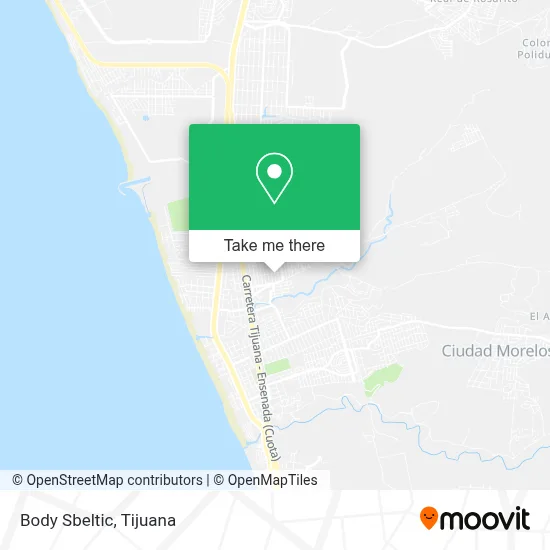 Body Sbeltic map