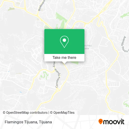 Flamingos Tijuana map