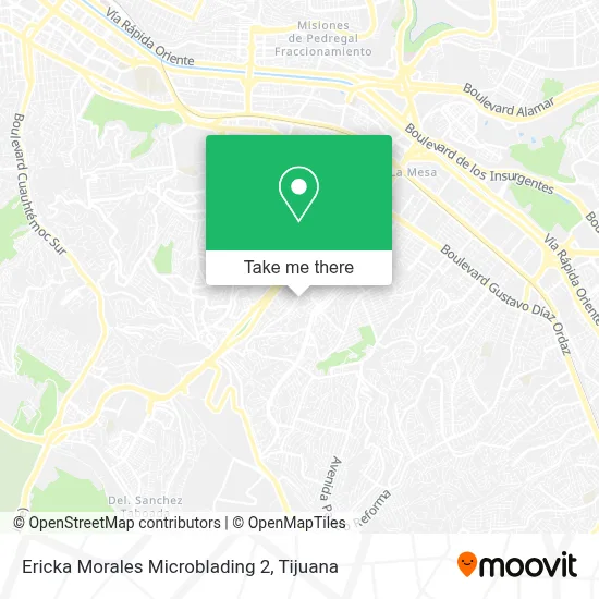 Ericka Morales Microblading 2 map