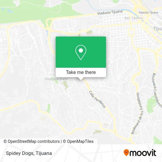 Spidey Dogs map