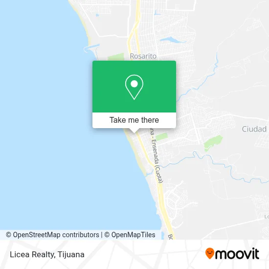 Licea Realty map
