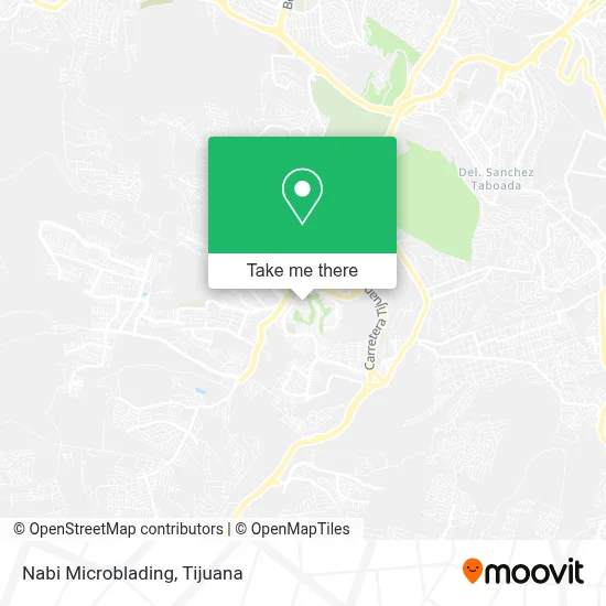 Nabi Microblading map