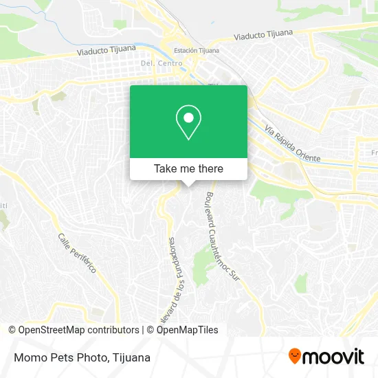 Momo Pets Photo map
