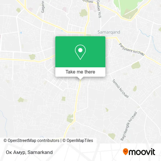 Ок Амур map