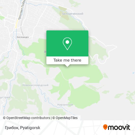 Грибок map