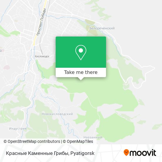 Красные Каменные Грибы map