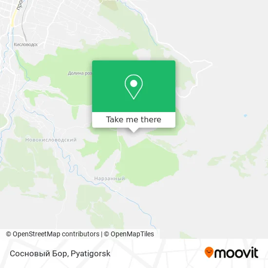 Сосновый Бор map