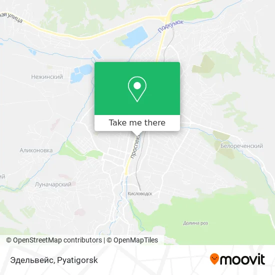 Эдельвейс map