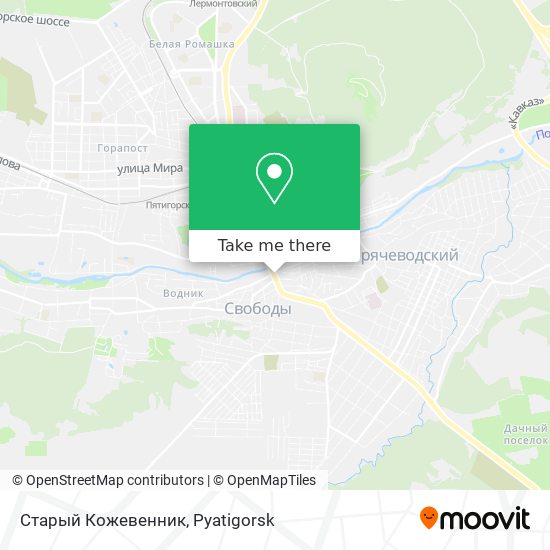 Старый Кожевенник map