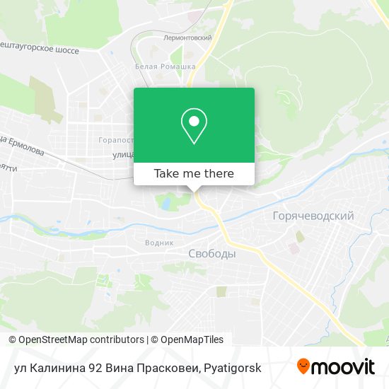 ул Калинина 92 Вина Прасковеи map