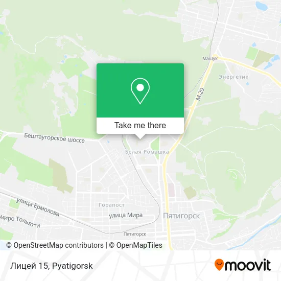 Лицей 15 map