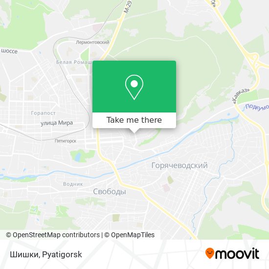 Шишки map