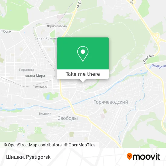 Шишки map