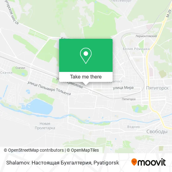 Shalamov. Настоящая Бухгалтерия map