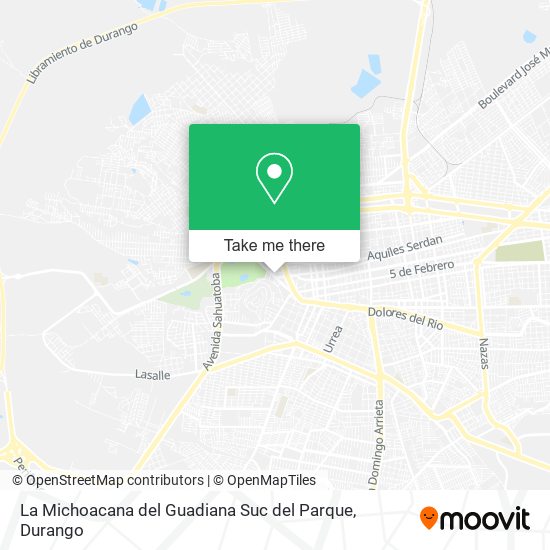 Mapa de La Michoacana del Guadiana Suc del Parque