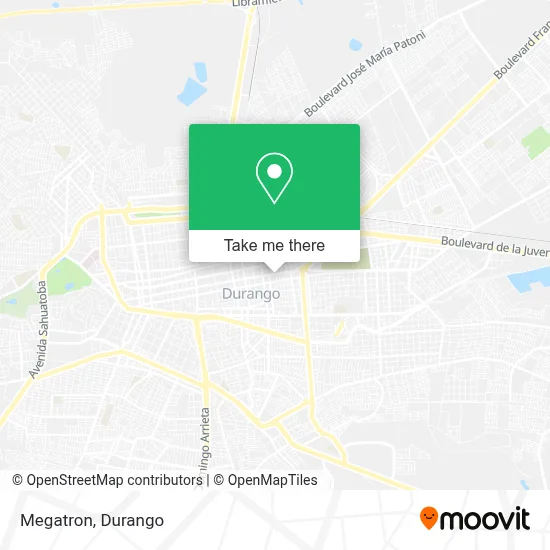 Megatron map
