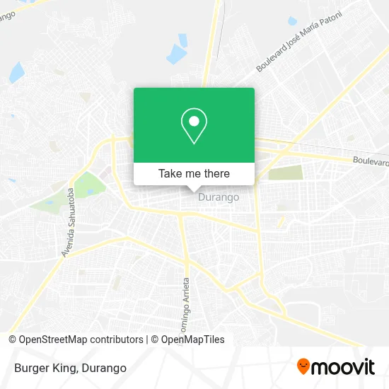 Burger King map
