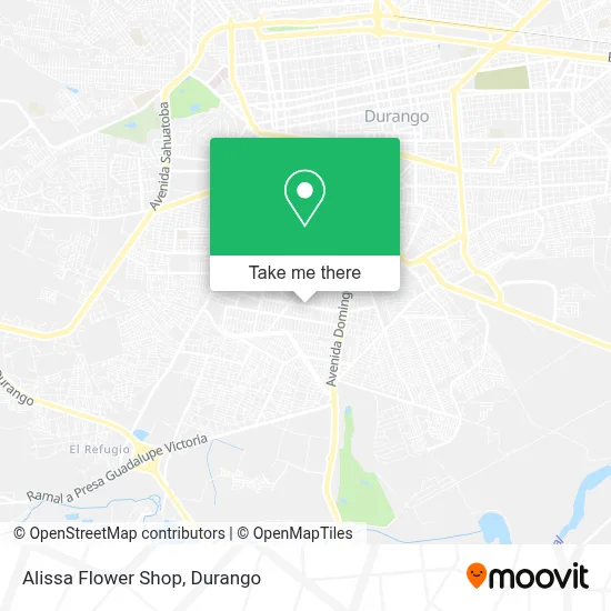 Alissa Flower Shop map