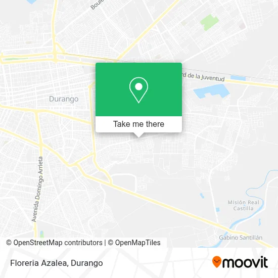 Floreria Azalea map