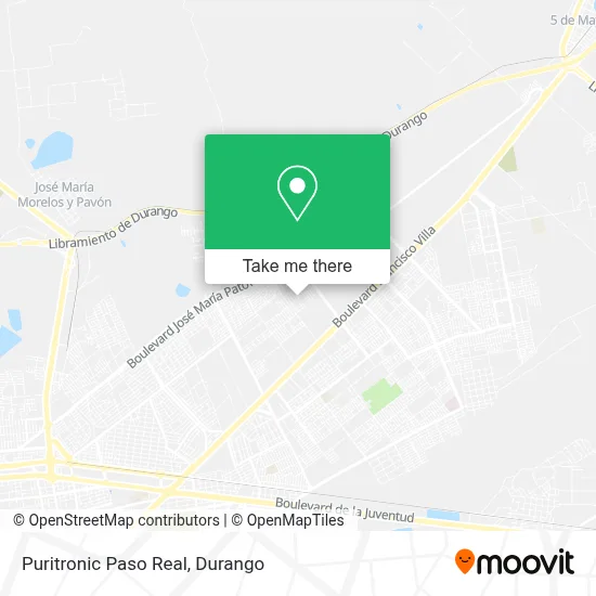 Puritronic Paso Real map