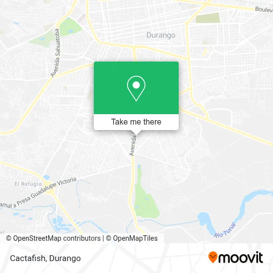 Cactafish map