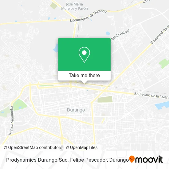 Prodynamics Durango Suc. Felipe Pescador map
