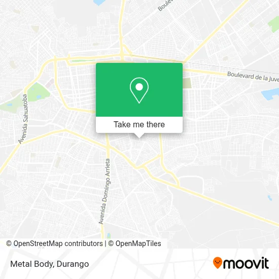 Metal Body map