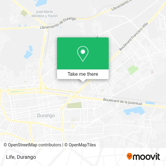 Life map