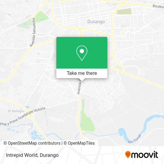 Intrepid World map